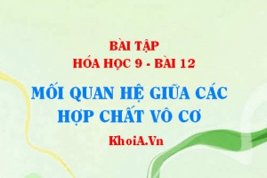 Bài tập mối quan hệ giữa các hợp chất vô cơ: Giải bài 1, 2, 3, 4 trang 41 SGK Hóa 9 bài 12